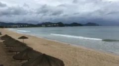 Opasnost na plažima - pješčane buhe